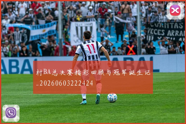 村BA总决赛精彩回顾与冠军诞生记_20260603222424