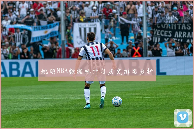 姚明NBA数据统计与历史排名分析